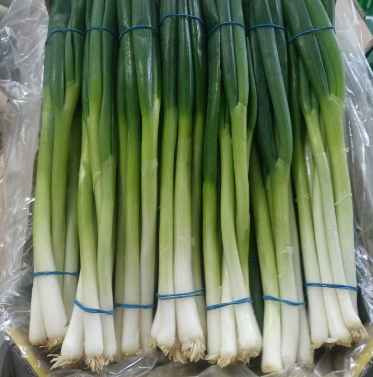 Spring Onions Detail 2